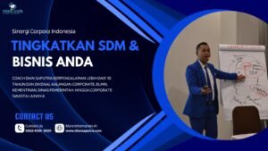 IMG-20250516-WA0041-4